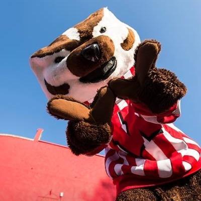 Hazkl's profile picture. 