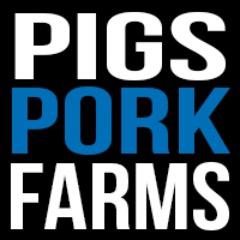 Pigs 101 | Ohio