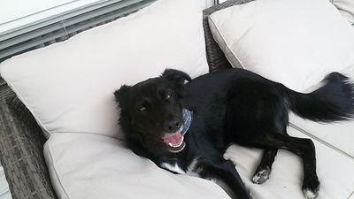 NeuhausAnna's profile picture. 