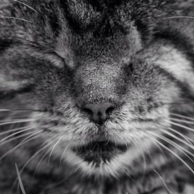 CE_PHOTOGRAPH's profile picture. Photographer based in West London. http://t.co/2H0MyqrNiN