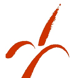 jjcomellas's profile picture. 