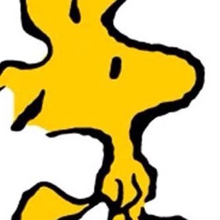 tqboog's profile picture. 