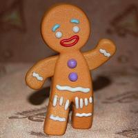 Gingie (@1andonly_gingie) 's Twitter Profile