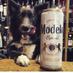 Spiros Paddington (@spirospaddo) Twitter profile photo Spiros Paddington (@spirospaddo) Twitter profile photo