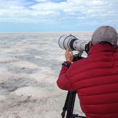 jasonlel's profile picture. 