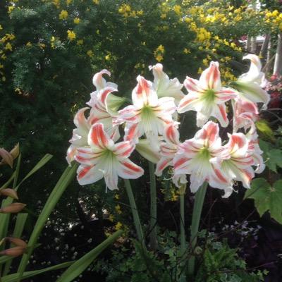 oliverjm12's profile picture. 