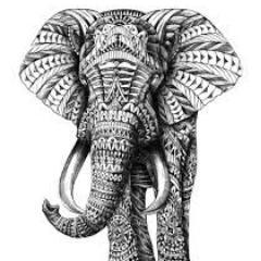 RodrIgomacia's profile picture. 