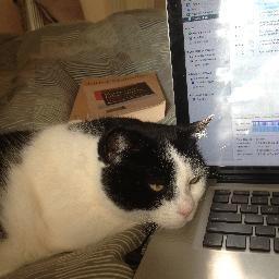 I read the news today oh boy! Cat lover: Cafe devotee: Traveller: Retired.