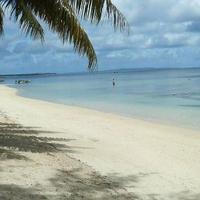 タロ (@ken01ranbul) 's Twitter Profile