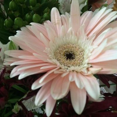 ashleedurupt's profile picture. 