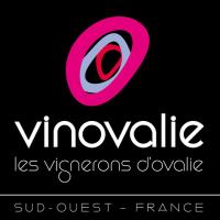 Vinovalie (@vinovalie) 's Twitter Profile
