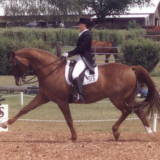 Lisacope1's profile picture. 