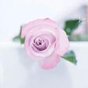 الريام (@0929b4341049487) Twitter