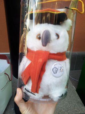 libschumm's profile picture. From now on in the blue 🌫