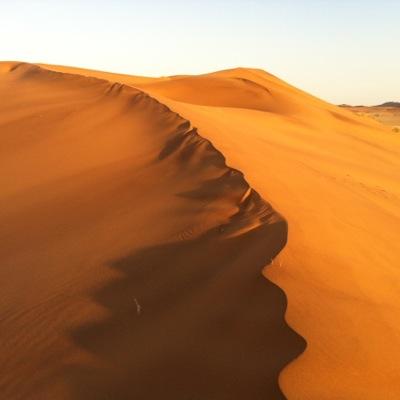Gobabeb is one of Africa's leading institutes for desert research. We are located 90 km east of Walvis Bay, where the Namib's three biomes meet.