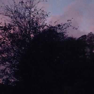 PaleGirlsPlight's profile picture. 