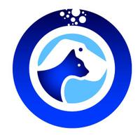 Oralade (@oraladeort) 's Twitter Profile