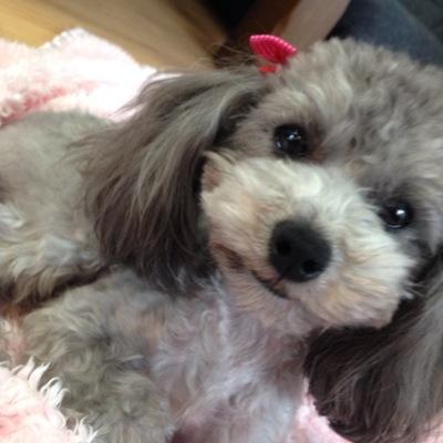 jcCitv19xqSyY4K's profile picture. 真幸2年 / ソフト部＃1（下手）/ トマト▷▶︎▷とにかく白くなりたい☆ 誰でも〜*ғᐤᐦᐤᐜ⃝⋆me