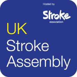 Bringing stroke survivors and their families together to express their opinions and hopes in a UK-wide forum