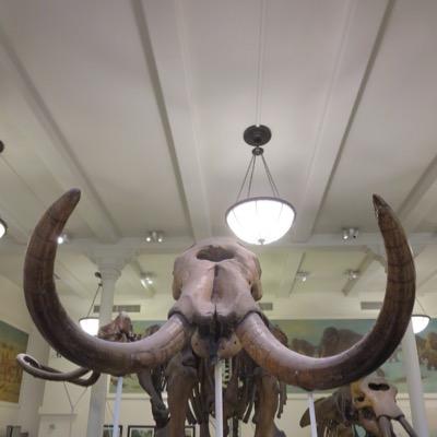 xnijih's profile picture. 