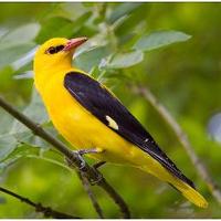 Sue Watson (@eos1951) 's Twitter Profile