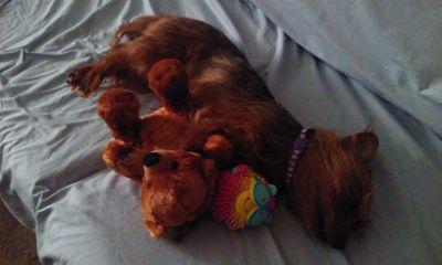 JhJoe7890's profile picture. 