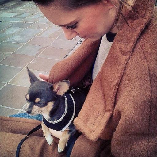 lynetteclee's profile picture. Senior Editor / Creative Content Manager at Gnomon in Hollywood