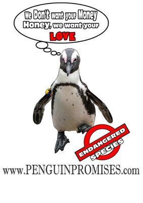 This is an action campaign where penguins inspire  people  to make a conservation  promise to them and the planet.