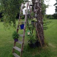 Pickwick Cottage (@dracotthope) 's Twitter Profile Photo