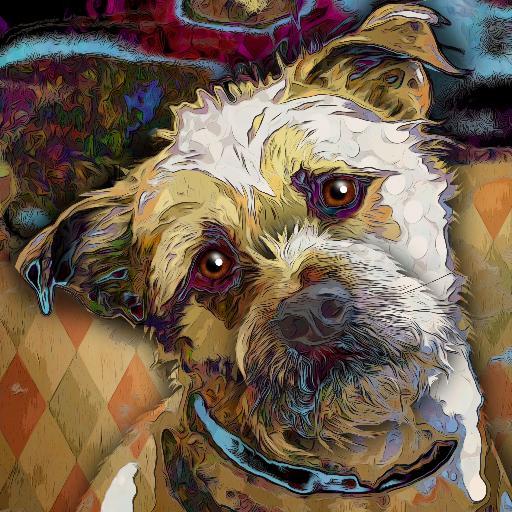 Andy's Paw Prints creates custom pet portraits from your photo and we donate 25% of our profit to help animals in rescues and shelter https://t.co/xvD08BuGNd