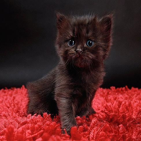 zimuka79's profile picture. В моем блоге, все обо мне сказано - без утайки и всяческих прикрас...