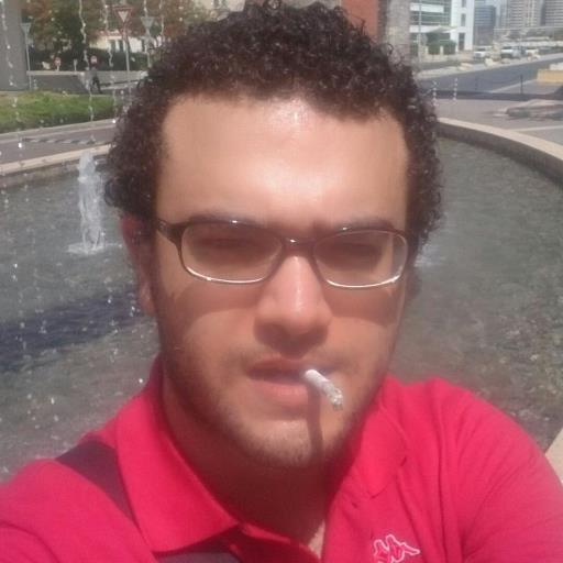 middle east broadcast journalist , author, blogger
