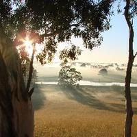 Penny Cotton (@pennycot) 's Twitter Profile