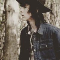 Carl Grimes (@grimesfighter) 's Twitter Profile