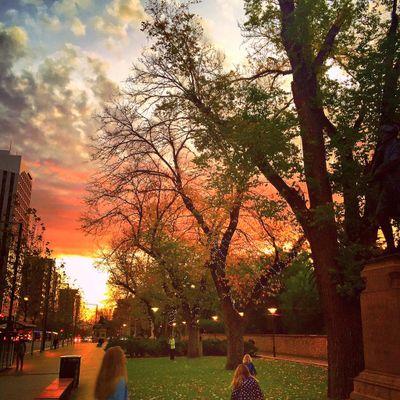 sagu_singh's profile picture. 