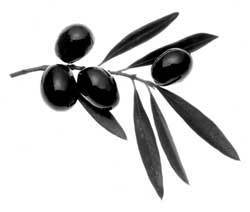 demozo_GDTS's profile picture. (=^o^=)/　おもに昼寝、たまに翻訳、遊んでいなければデモクラシー･ナウ！ジャパンの召使いをしています。https://t.co/s9k9IZxv0c