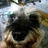 _metabow's profile image