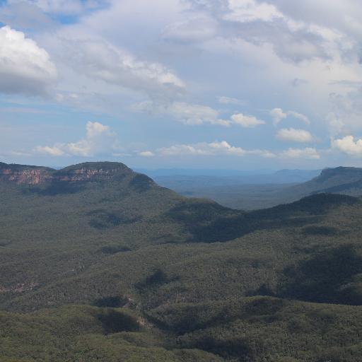 witten_ta_1's profile picture. 私が興味あるものを閲覧しているだけのアカウントです