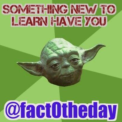 Nothing beats learning something new, winning a bar wager, or even impressing someone with your new found knowledge!
#fact0theday