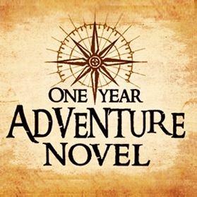 Write an adventure novel in one high school year.