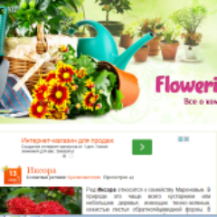 flowerinf's profile picture. Растения, цветы, орхидеи, папоротники, пальмы. #комнатные растения #цветы #орхидеи #растения #суккуленты #пальмы #растения
