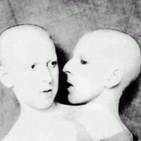 Claude Cahun (@claudecahun) 's Twitter Profile