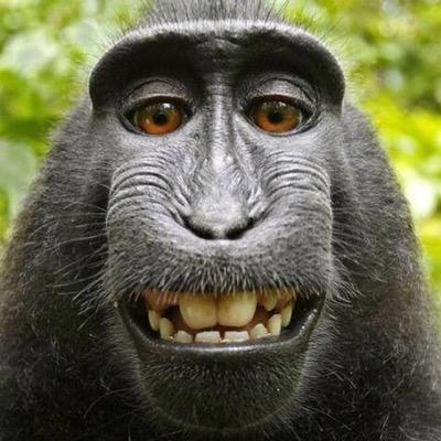 crattoman's profile picture. Un tipo común, no necesariamente normal.