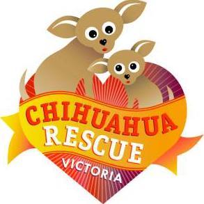 Rescue and Placement of Chihuahuas in Victoria, Australia