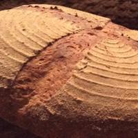 Andrew Whitley (@breadmatters) 's Twitter Profile