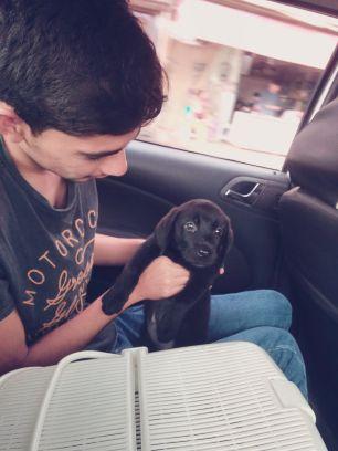 nelsondesai's profile picture. #FullStack #Backend #Frontend #PHP #Laravel #Zend #WordPress #NodeJS #SailsJS #Developer #WebDesign #Freelance #Startup