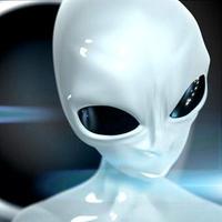 Shawn Brink (@shawn_brink_mvp) 's Twitter Profile Photo