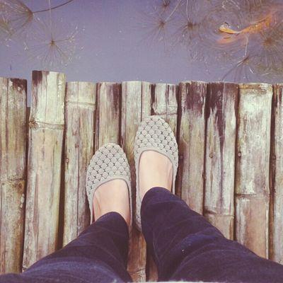 blogku77's profile picture. Penyuka kucing