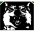 oɔoɔoᴚ ʎʞɔoᴚ (@deadfishx) Twitter profile photo