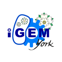 iGEM york (@igemyork) Twitter profile photo